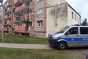 Śremscy policjanci poszli za tropem. Ślad prowadził do Gostynia. 28-latek...-84317