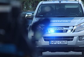 Nagle wyskoczyła na jezdnię. Próbował ratować sytuację i skończył w... rowie-84536