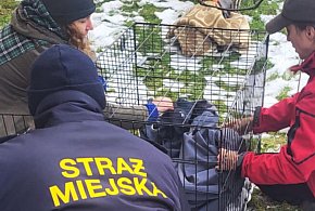 Zobaczyli go pod domem i wiedzieli, że jest źle. Dzięki nim dostał drugą szansę-85257