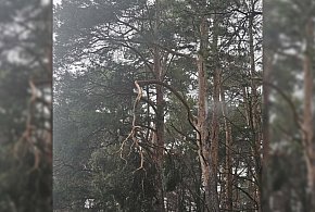 Twierdzi, że jazda a drogą to jak "oszukać przeznaczenie". Nie wierzy, że nikt...-85725