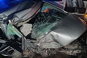 Spokojna jazda, łuk drogi i nagłe... "coś" w ciemności. Kierowca nie dał rady...-86013