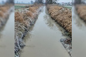 Niepokojący widok w święta. Kaczki zniknęły, a woda w Kani zmieniła kolor...-86146