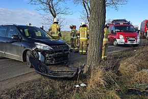 Samochód wbił się w drzewo. Możliwe, że kierowca nagłe zasłabł za kierownicą-86323