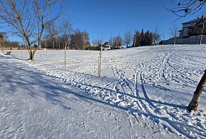 Wizytówka Gostynia rozjechana! Jeszcze niedawno wszyscy radni się szczycili-86425