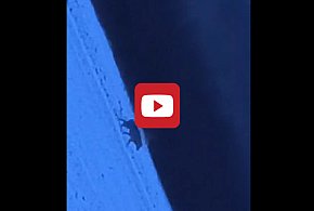 Taki widok potrafi obudzić bardziej niż poranna kawa. Mamy nagranie...-86758