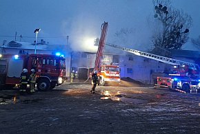 Płonął budynek inwentarski! W środku 70 sztuk bydła. Sytuacja była poważna