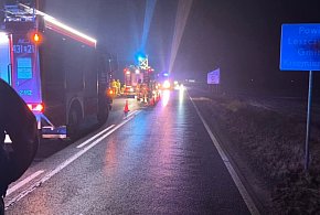 Sarna na drodze, samochód w polu...    20-latek nie zdołał opanować auta