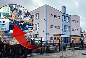 Przez lata urosła do rangi symbolu szkoły. Dlaczego metasekwoja zniknęła?