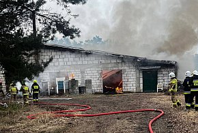 Duża akcja gaśnicza pod Dolskiem. Pomagali strażacy z naszego powiatu...
