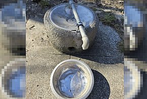 Zauważył problem i zgłosił, gdzie trzeba. Na brak reakcji odpowiedział drobną...