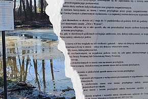 Mieszkańcy dosłownie przecierali oczy ze zdumienia. Tego się nie spodziewali