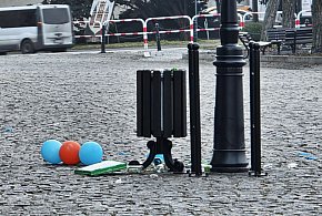 Nie trzeba mieć kalendarza. Wystarczy spojrzeć. Od razu widać, że przyszła wiosna