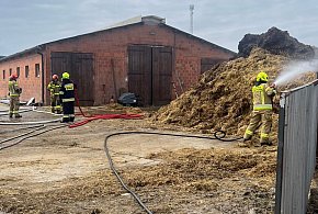 Ogień tuż za budynkiem gospodarczym. Do akcji ruszyło pięć zastępów straży