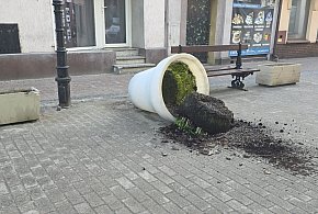 Aż trudno uwierzyć, że komuś się chciało. Nadmiar wolnego czy zwykła głupota?