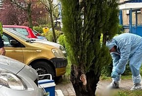 Zgłoszenie z osiedla Wojska Polskiego postawiło służby na równe nogi!