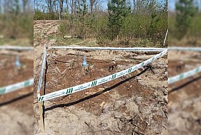 Sadzili las. Natknęli się na coś, co mrozi krew w żyłach. Na miejsce ruszyli...