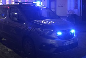 Właścicielka ukarana po wieczornej kontroli. Strażnicy zapowiadają powrót
