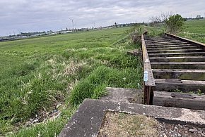 Kiedyś to było fajne miejsce na spacery z psem. Teraz ma wyglądać jak "melina"