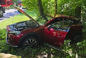 Wypadł z drogi i uderzył w drzewo. Wcześniej próbował wyprzedzać ciężarówkę