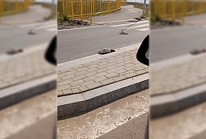 Od kilku dni leży tak przy rondzie. W tle ostrzeżenia i groźne komunikaty...