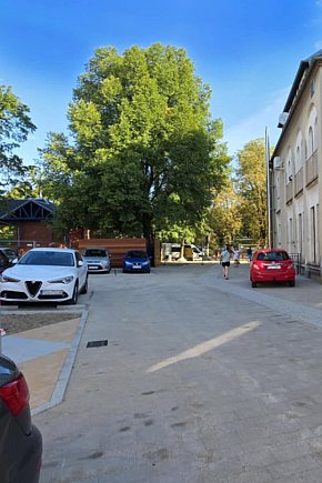 Nowe parkingi i modernizacja parku miejskiego w Gostyniu-13446