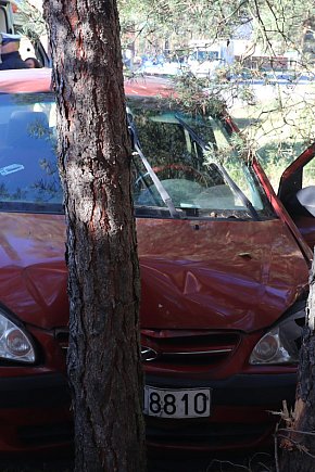 W Stankowie, samochód uderzył w drzewo-13560