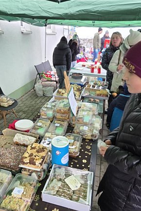 Mikołajkowy Dzień otwarty w schronisku w Dalabuszkach-13628