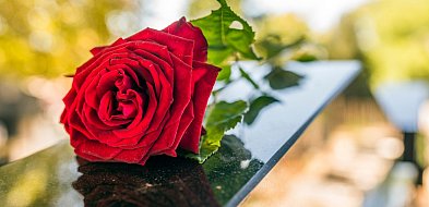 Tego jeszcze nie było! Polacy sami wybiorą, gdzie pochowają bliskich-85562