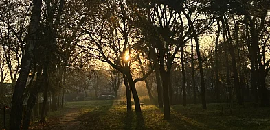 Najkrótszy dzień, najdłuższa noc… i nagle zacznie się zmieniać-85954