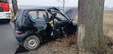 Seicento wypadło z drogi i uderzyło w drzewo. Poszkodowana ...