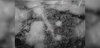 Utknęła po pas w bagnie. Każdy ruch pogarszał jej sytuację. Wtedy...