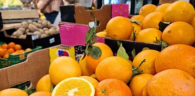 To nie ściema! Chcą rozdać tonę ekologicznych pomarańczy. Za darmo! Wiemy gdzie...