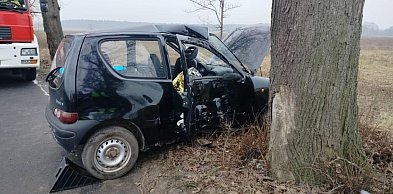 Seicento wypadło z drogi i uderzyło w drzewo. Poszkodowana ...