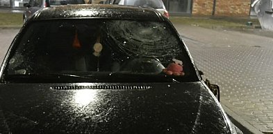 Ojciec i syn zatrzymani! Roztrzaskali BMW pięściami. Poszło o sprawy...