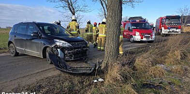 Wyszedł z tego bez szwanku. Dziś już wiadomo, co tak naprawdę się stało