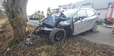 Auto roztrzaskało się o drzewo. Kierowca w szpitalu. Mówi, że nie pamięta nic