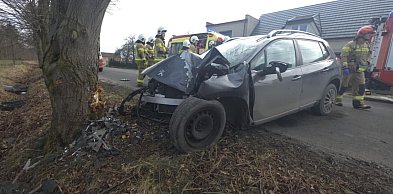 Samochód osobowy uderzył w drzewo. Na miejscu zdarzenia działają służby
