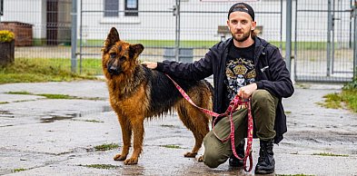 Od chęci do działania. Schronisko szuka nowych wolontariuszy