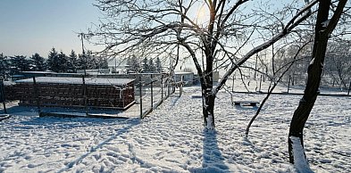 Tu nie chodzi o wygodę, lecz o problem. Zbierają na kontener z ogrzewaniem...