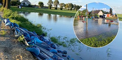 W sierpniu 2024 roku, Daria Wyzuj miała złożyć im obietnicę. Teraz chcą informacji