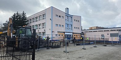 "Mieliśmy wybór: drzewo czy człowiek”. Wiceburmistrz tłumaczy, co stało się...