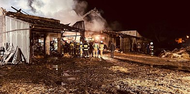 Zwierzęta były uwięzione, nie wszystkie przeżyły. Smutny bilans pożaru