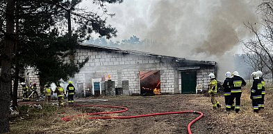 Duża akcja gaśnicza pod Dolskiem. Pomagali strażacy z naszego powiatu...