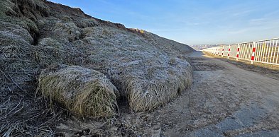 Skarpa "zjechała jak dywan" Co dalej ze ścieżką rowerową przy łączniku obwodnicy?
