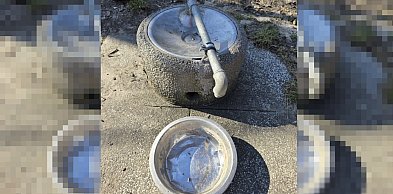 Zauważył problem i zgłosił, gdzie trzeba. Na brak reakcji odpowiedział drobną...