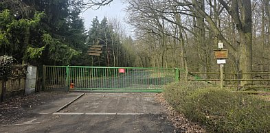 W powiecie gostyńskim wykryto ognisko groźnej choroby. Tysiące bażantów...