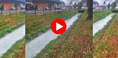 Co tym razem spłynęło kanałem Brzezinki? Takich rzeczy nie można bagatelizować