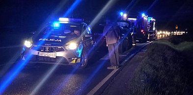 Hamowała przed zwierzyną, wiozła dzieci. W tył jej auta uderzyła pijana...