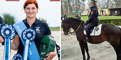 Hodują konie do zadań specjalnych. Jeden z nich już patroluje miasto