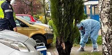 Zgłoszenie z osiedla Wojska Polskiego postawiło służby na równe nogi!